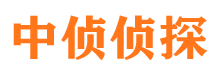 纳溪寻人公司